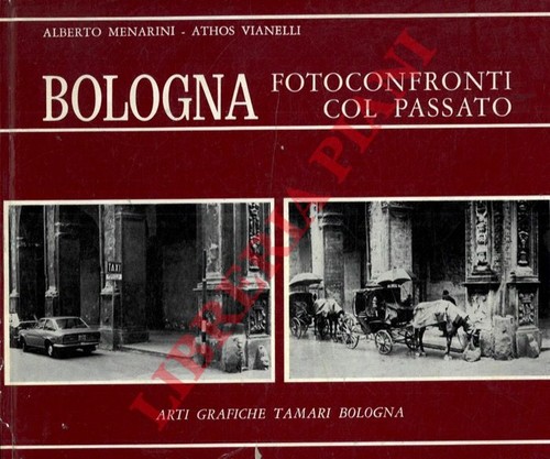 Menarini alberto vianelli - alberto,